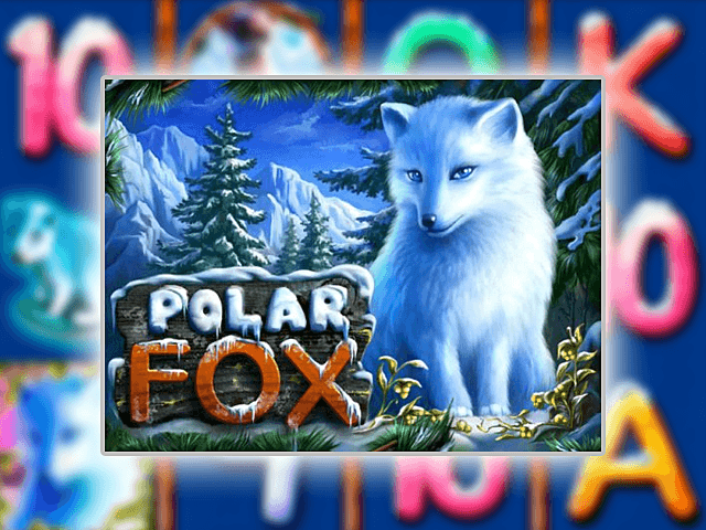 polar fox automat do gry