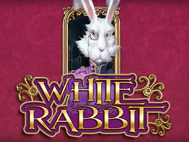 white rabbit slot za darmo